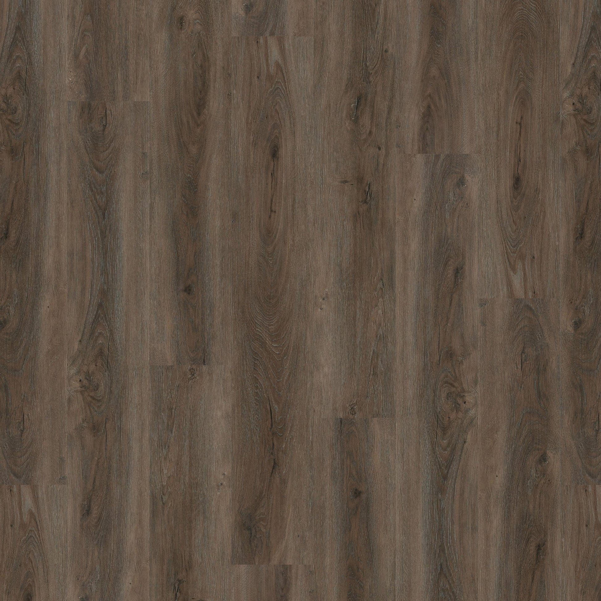 New Forest Oak - Lifestyle SPC 5mm Rigid Core Vinyl Flooring (119075)
