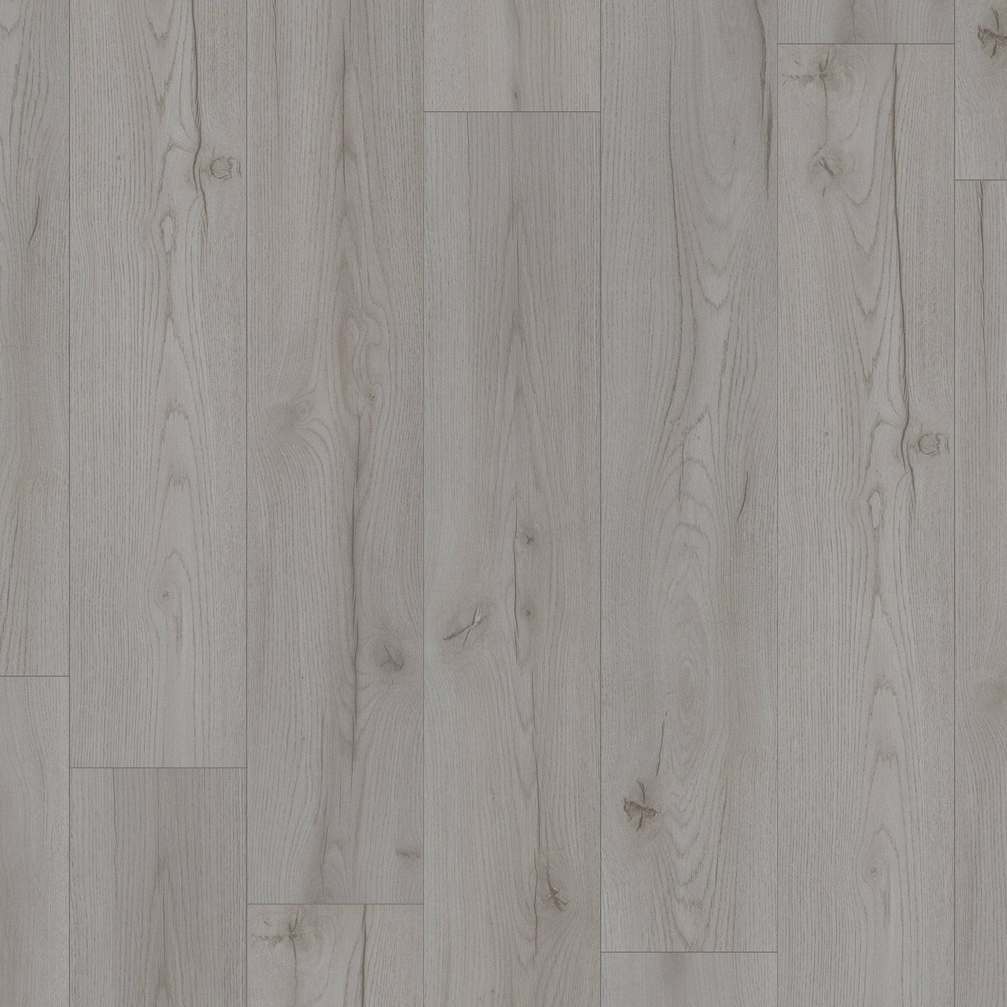 Century Oak Grey - Advanced 8mm Laminate Flooring (119817)