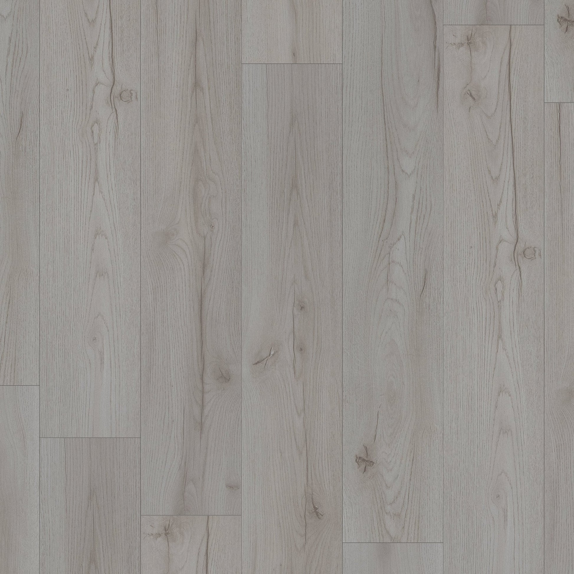 Century Oak Grey - Advanced 8mm Laminate Flooring (119817)