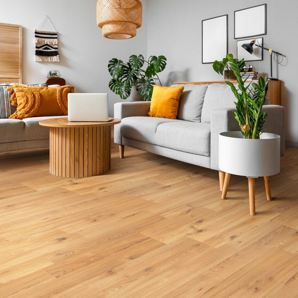 Kronotex Winter Oak - Standard 7mm Laminate Flooring