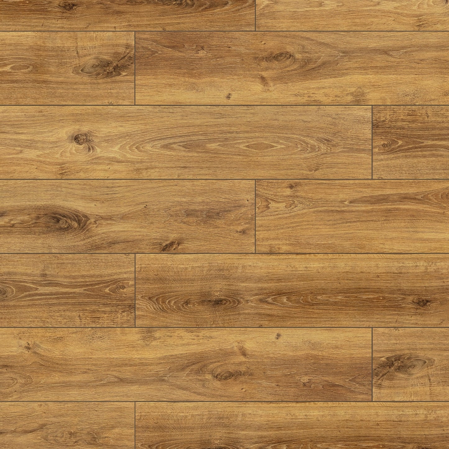 Hamsterley Oak - Lustre 8mm High Gloss Laminate Flooring (84870)