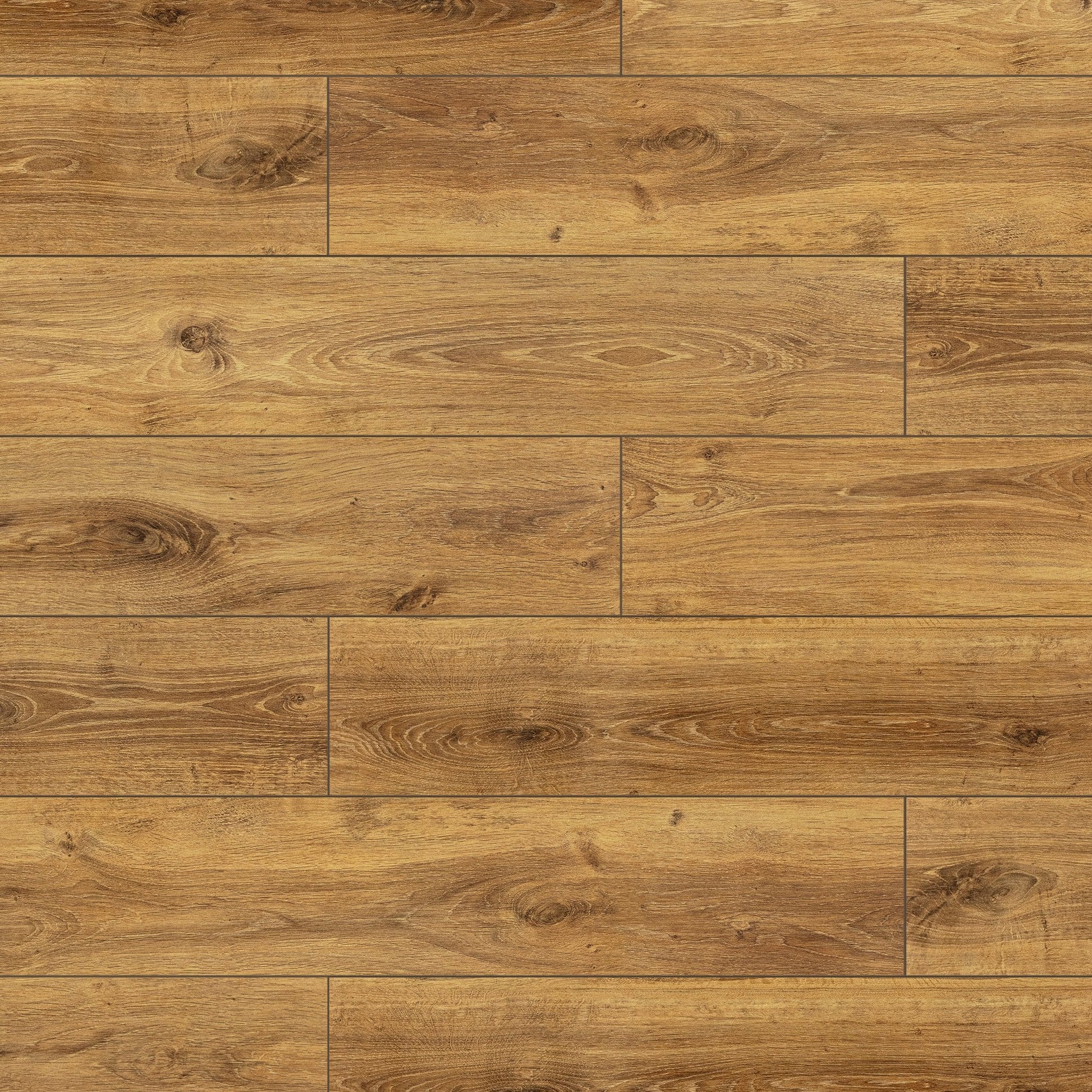 Hamsterley Oak - Lustre 8mm High Gloss Laminate Flooring (84870)