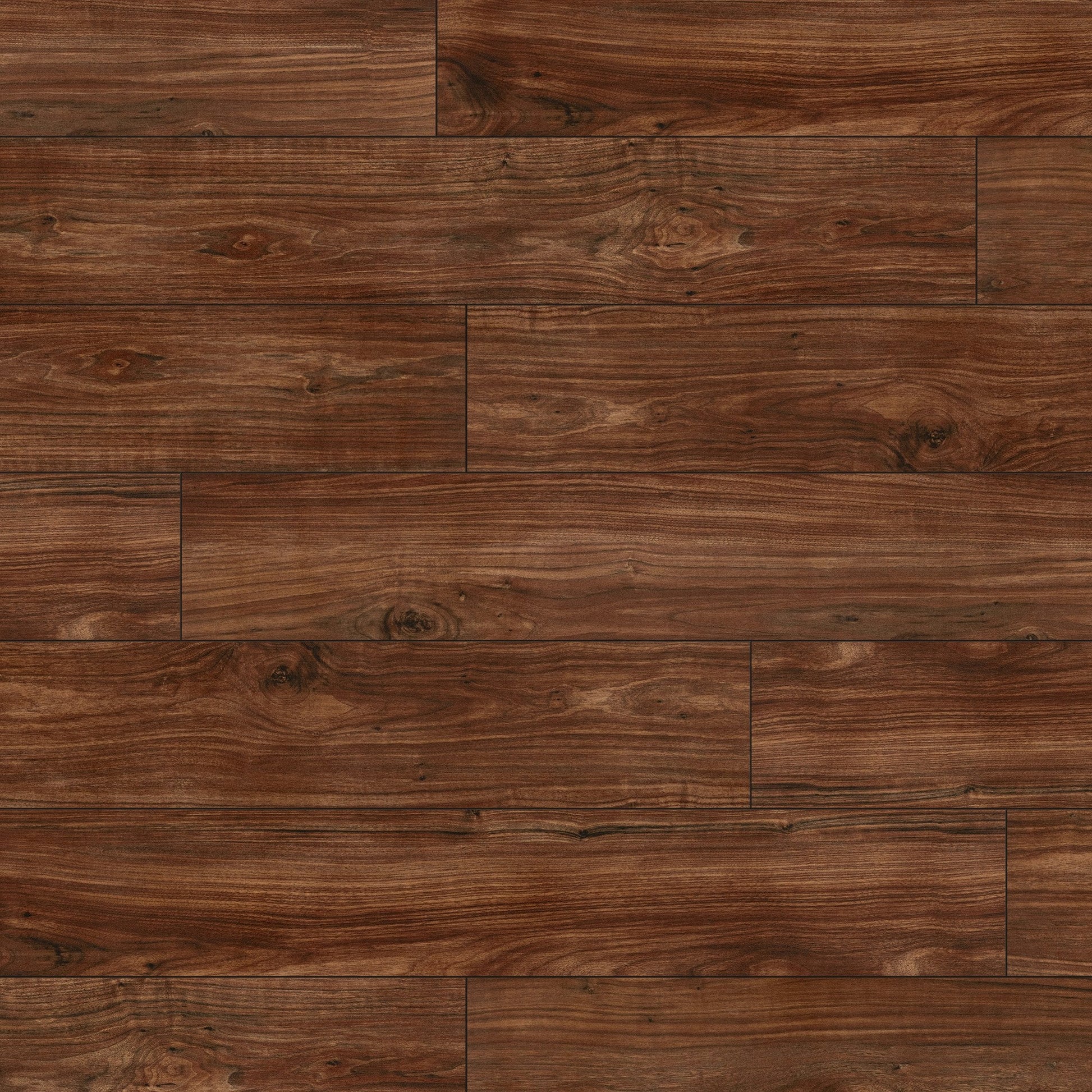 Walnut - Lustre 8mm High Gloss Laminate Flooring (84867)