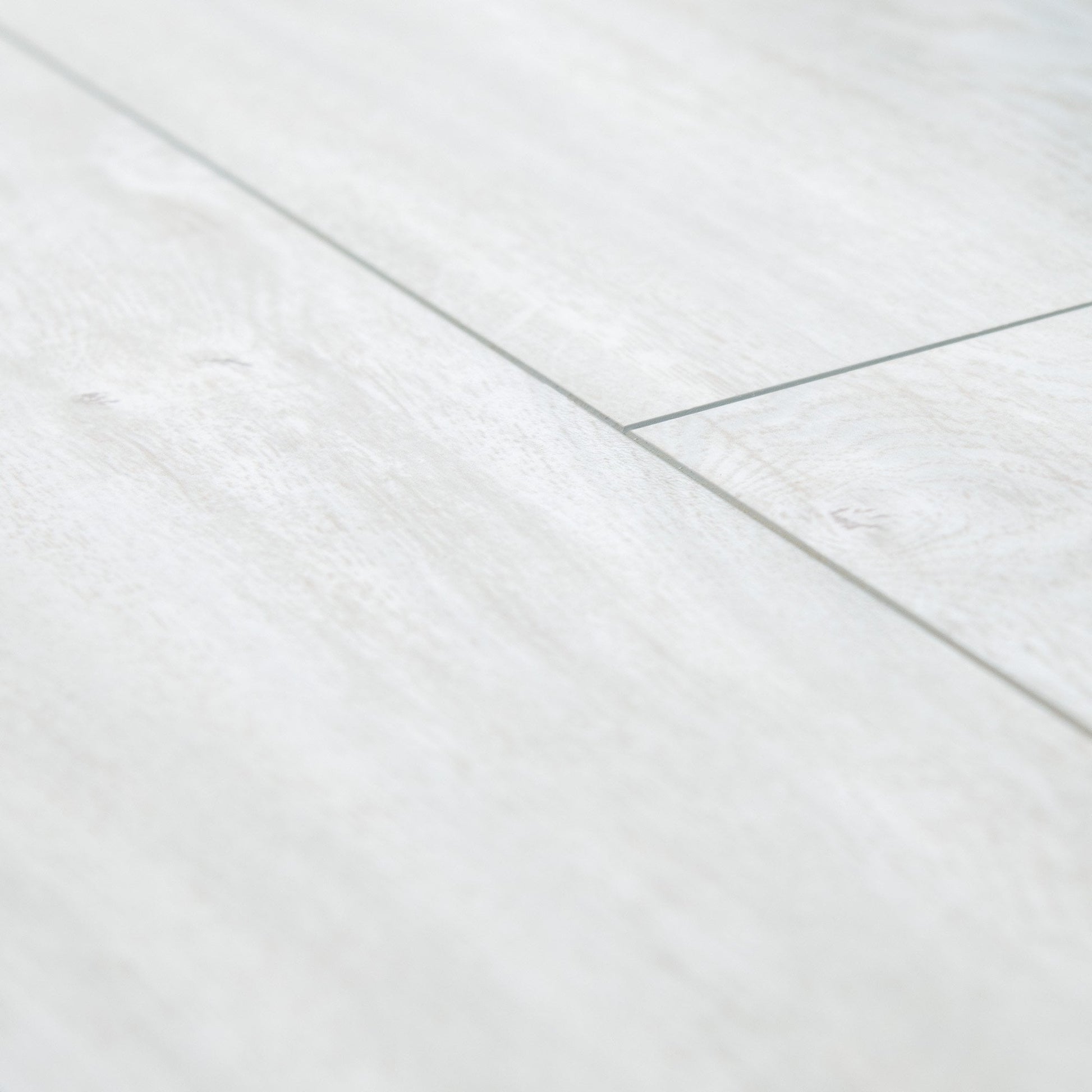 County Oak - Lustre 8mm High Gloss Laminate Flooring (84873)