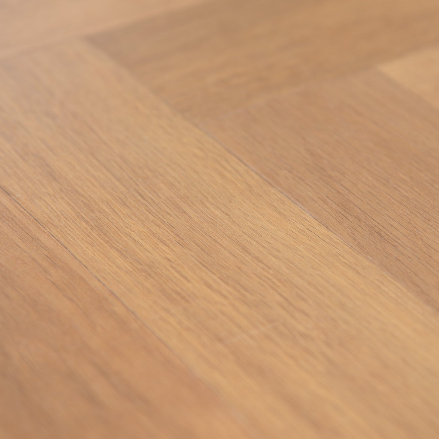 FAUS | Natural Herringbone - Masterpieces 8mm Matt Sample (S174276)