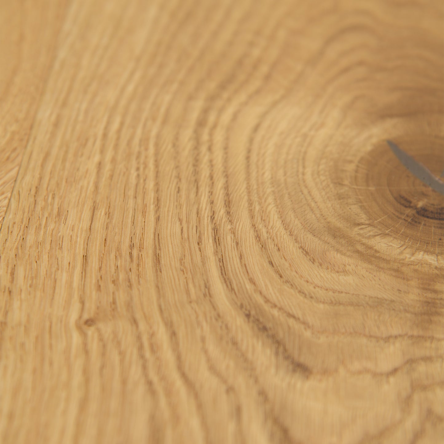 Natural Oak - 14mm Brushed UV laqcuer Sample (EOTG14x164NAT)