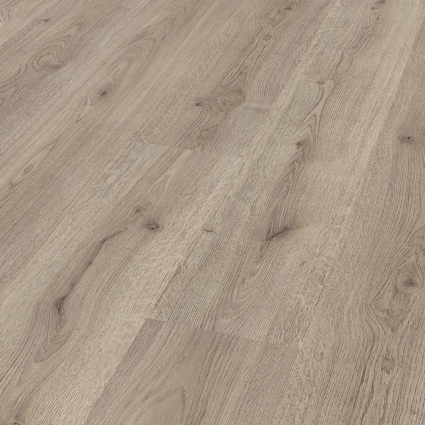 Trend Oak Grey - Advanced 8mm Laminate Flooring (85893)
