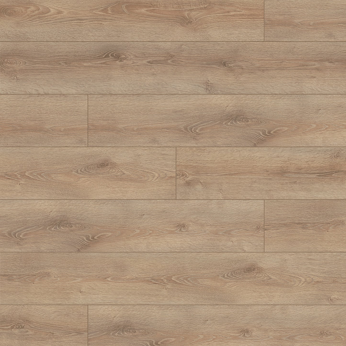 Clearwater Oak - Supernatural Classic 8mm Embossed Laminate Flooring (122560)