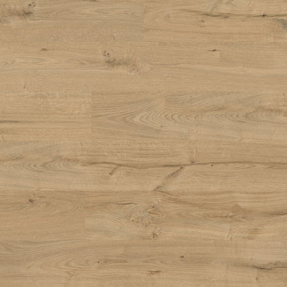 Wild Oak - Easy Touch 8mm High Gloss Laminate Flooring (79008)