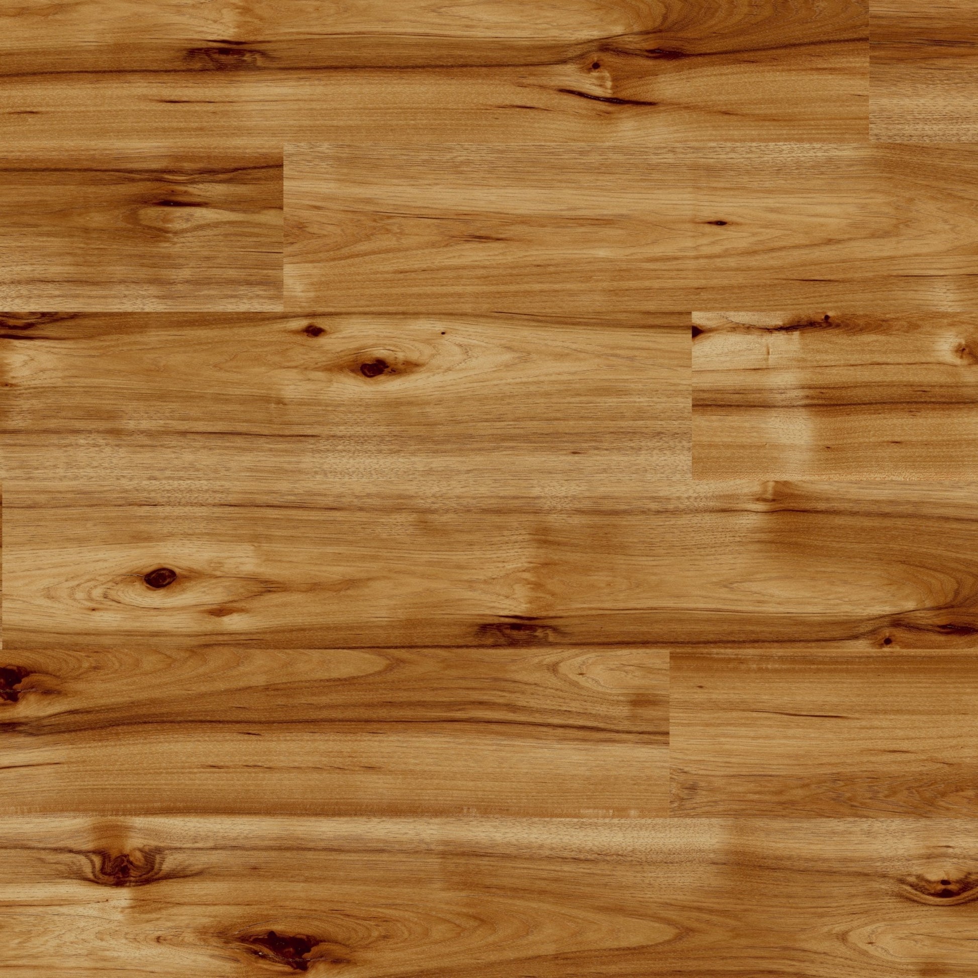 Bravo Hickory - Easy Touch 8mm High Gloss Laminate Flooring (79011)