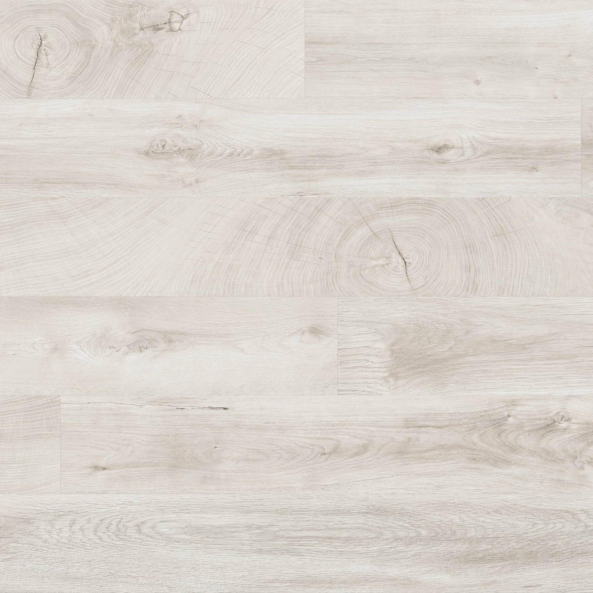 Fresno Snow Oak - Easy Touch 8mm High Gloss Laminate Flooring (79015)