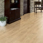 Wild Oak - Easy Touch 8mm High Gloss Laminate Flooring (79008)