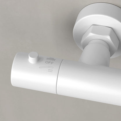 Delta Exposed 2-Way Thermostatic Shower With Riser