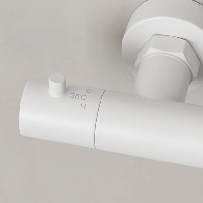 Delta Exposed 3-Way Thermostatic Shower With Riser