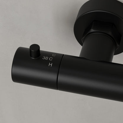 Delta Exposed 3-Way Thermostatic Shower With Riser