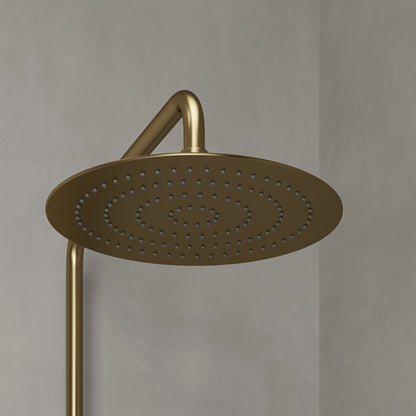 Delta Exposed 3-Way Thermostatic Shower With Riser