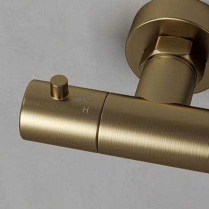 Delta Exposed 3-Way Thermostatic Shower With Riser