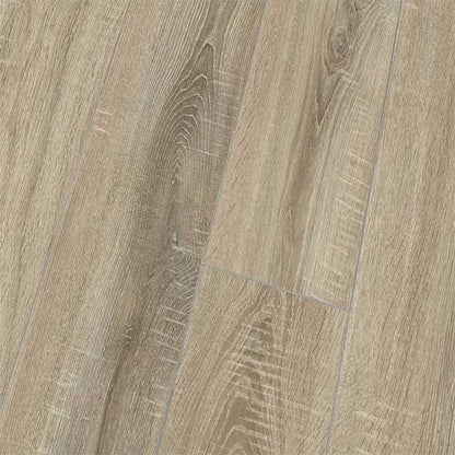 Sonoma Oak - Lustre 8mm High Gloss Laminate Flooring (84875)