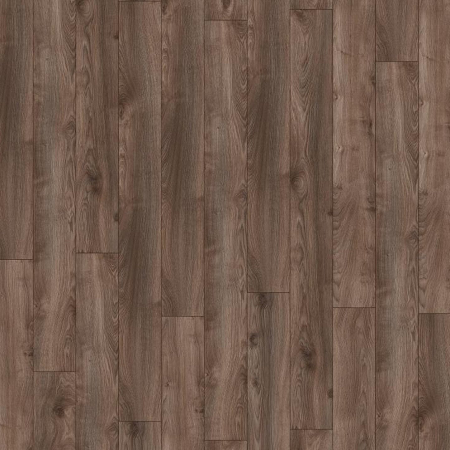 Macro Oak Grey - Mammut Long Plank 10mm Laminate Flooring (122391)