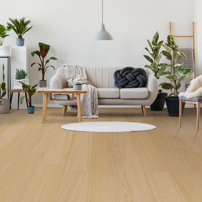 Linen Sheridan Oak - Vario Supernatural 8mm Laminate Flooring (122453)