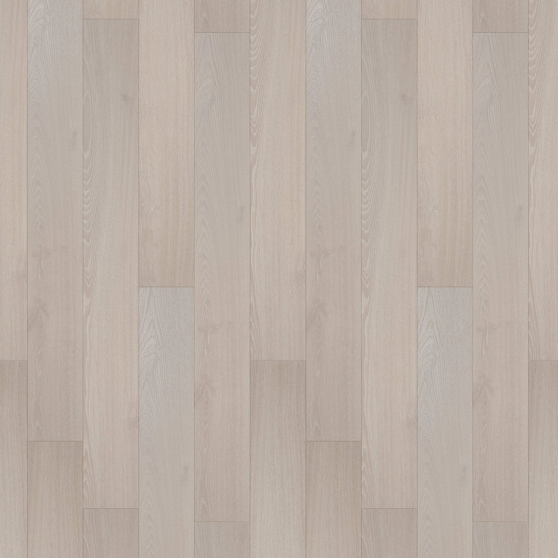 Timeless Beige Oak - Amazone 10mm Laminate Flooring (54210)