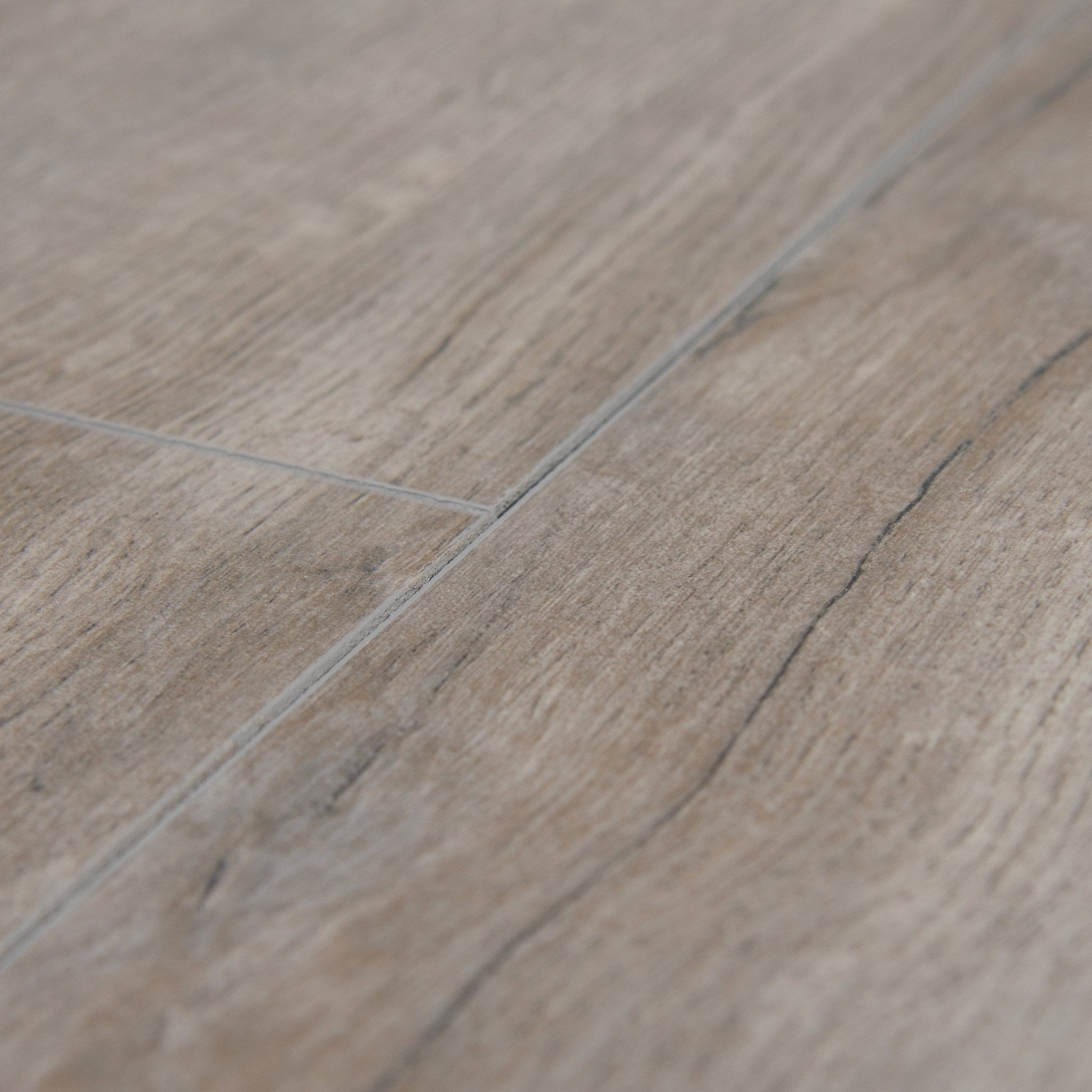 Montmelo Silver Oak - Amazone 10mm Laminate Flooring (54211)