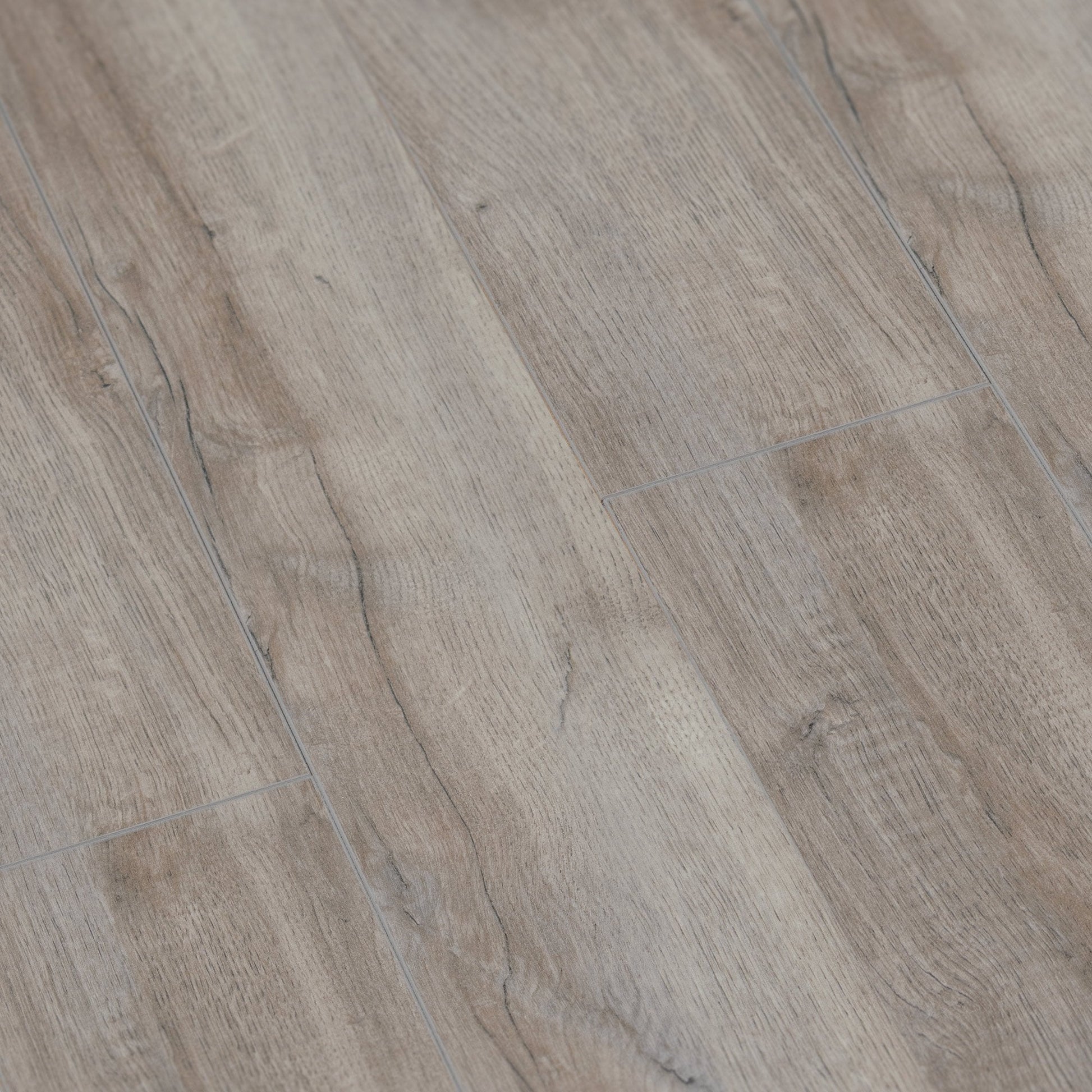 Montmelo Silver Oak - Amazone 10mm Laminate Flooring (54211)