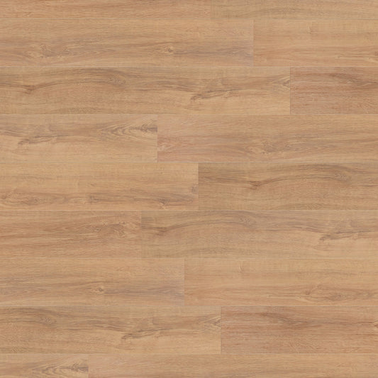 Leader-Tec | Fernie Oak - Foundation LVT 2m Glue Down Vinyl Sample - CW-3887 (SKU-345222)