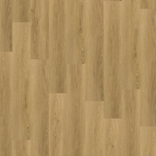 Leader-Tec | Colwood Oak - Foundation SPC 3.2m Rigid Core Vinyl Sample - EWH-3979 (SKU-345228)