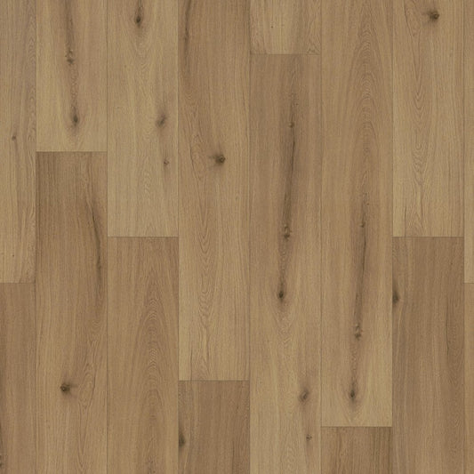 Sunlit Oak - Comfort Luxe Plus 12mm Laminate Sample (SKU-343972)