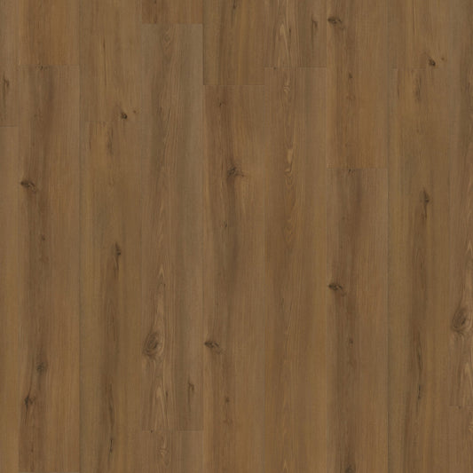 Leader-Tec | Yorkton - Prime+ SPC 5mm Rigid Core Vinyl Sample - EWH-3987 (SKU-345259)