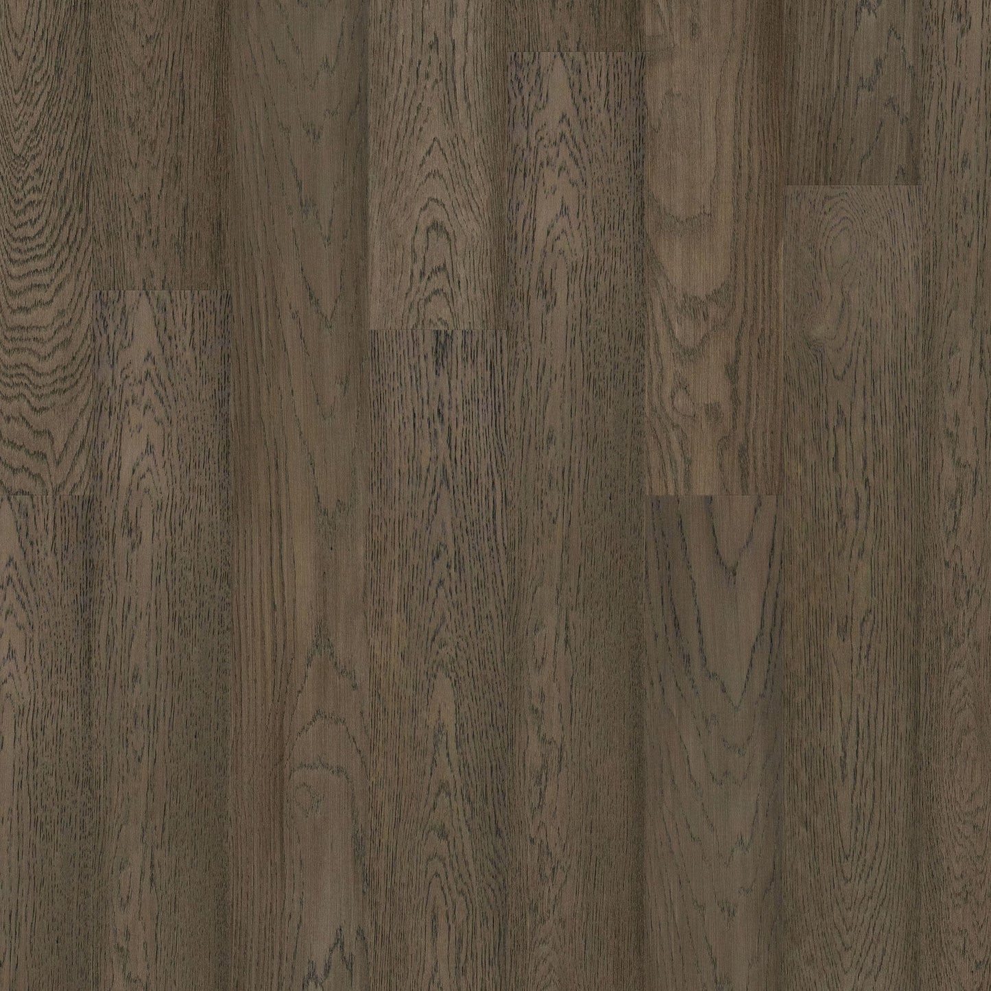 Liberty Floors | Cleve Oak - HydroShield Real Wood Sample - LIB-Z-305 - SKU-337929