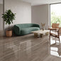 Silver Grey Oak - Glamour 12mm High Gloss Laminate Flooring
