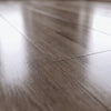 Silver Grey Oak - Glamour 12mm High Gloss Laminate Flooring