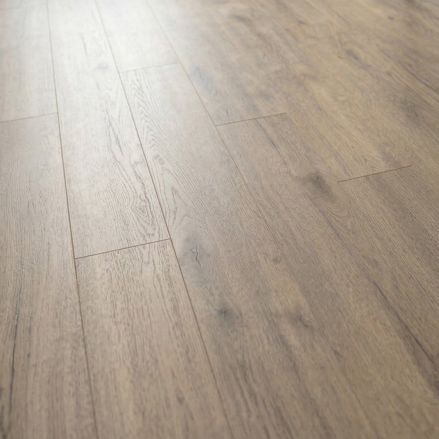Pettersson Oak Beige - Exquisite 8mm Sample