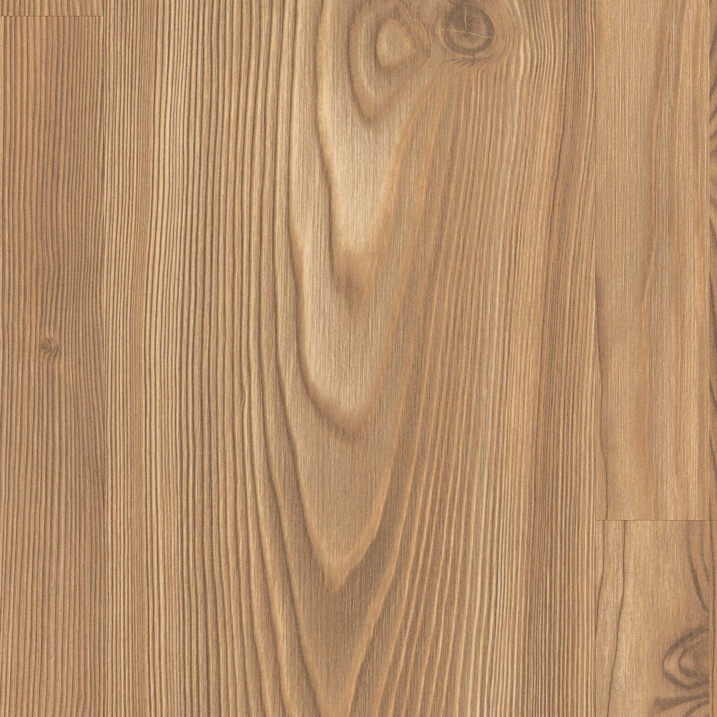Alpine Pine - Wood essence Sample (EL2265)