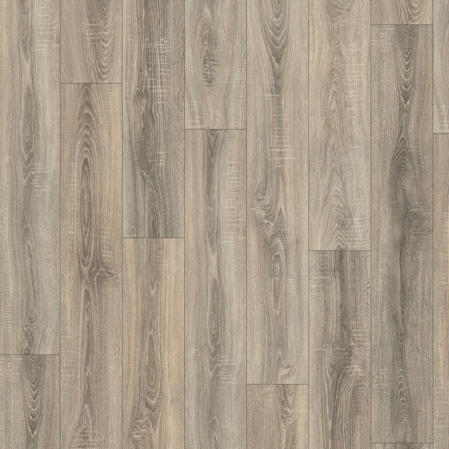 Tranquil Oak Grey - Wood essence Sample (EL1056)