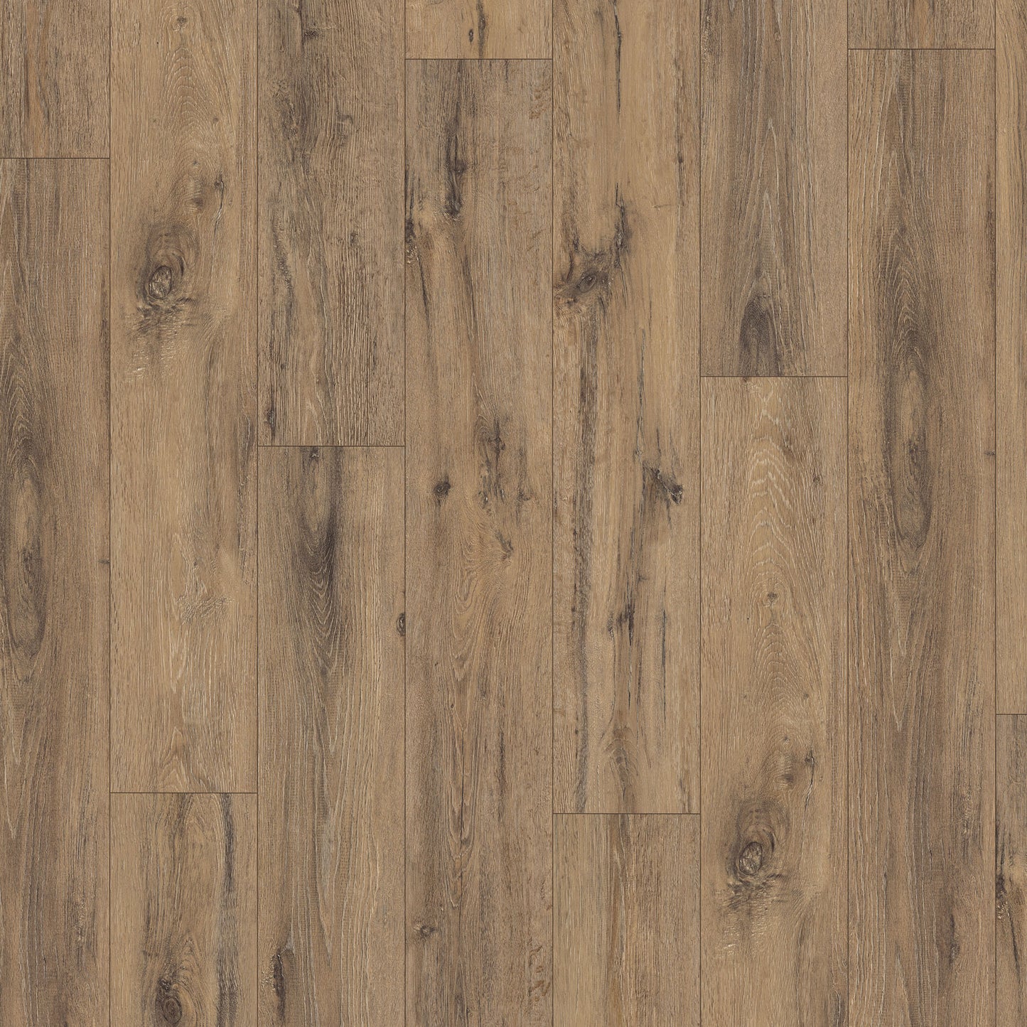 Deep Panel Oak - Wood Essence Water Resistant 8mm Laminate Flooring