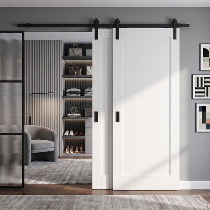White Primed Pattern 10 Bypass Sliding Door - Black Face Mounted