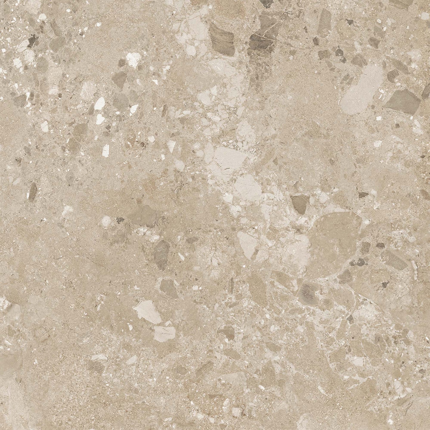 Beige Matt - Terazzia Smooth Porcelain Wall & Floor Tile Sample