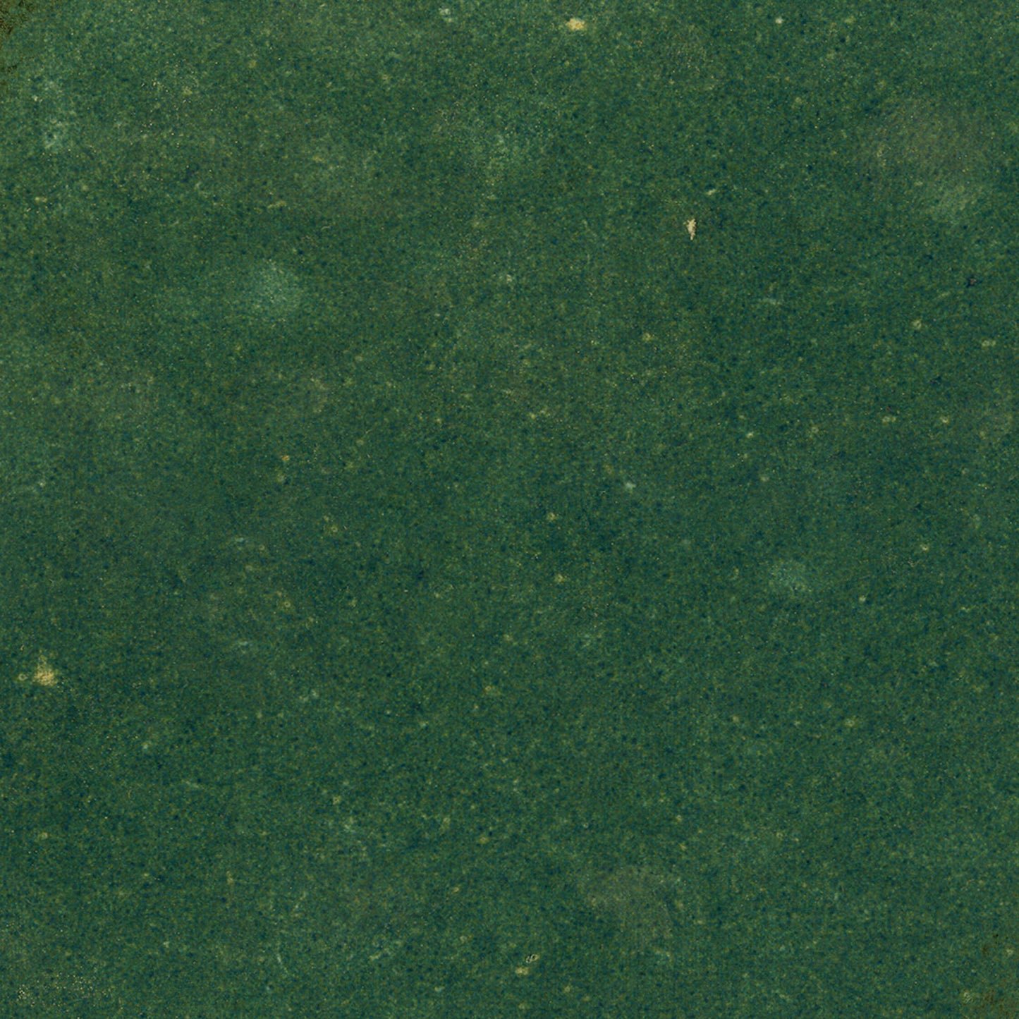 Green Gloss - Aura Smooth Hexagon Water Resistant Ceramic Wall Tile