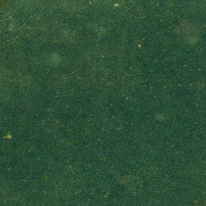 Green Gloss - Aura Smooth Hexagon Water Resistant Ceramic Wall Tile