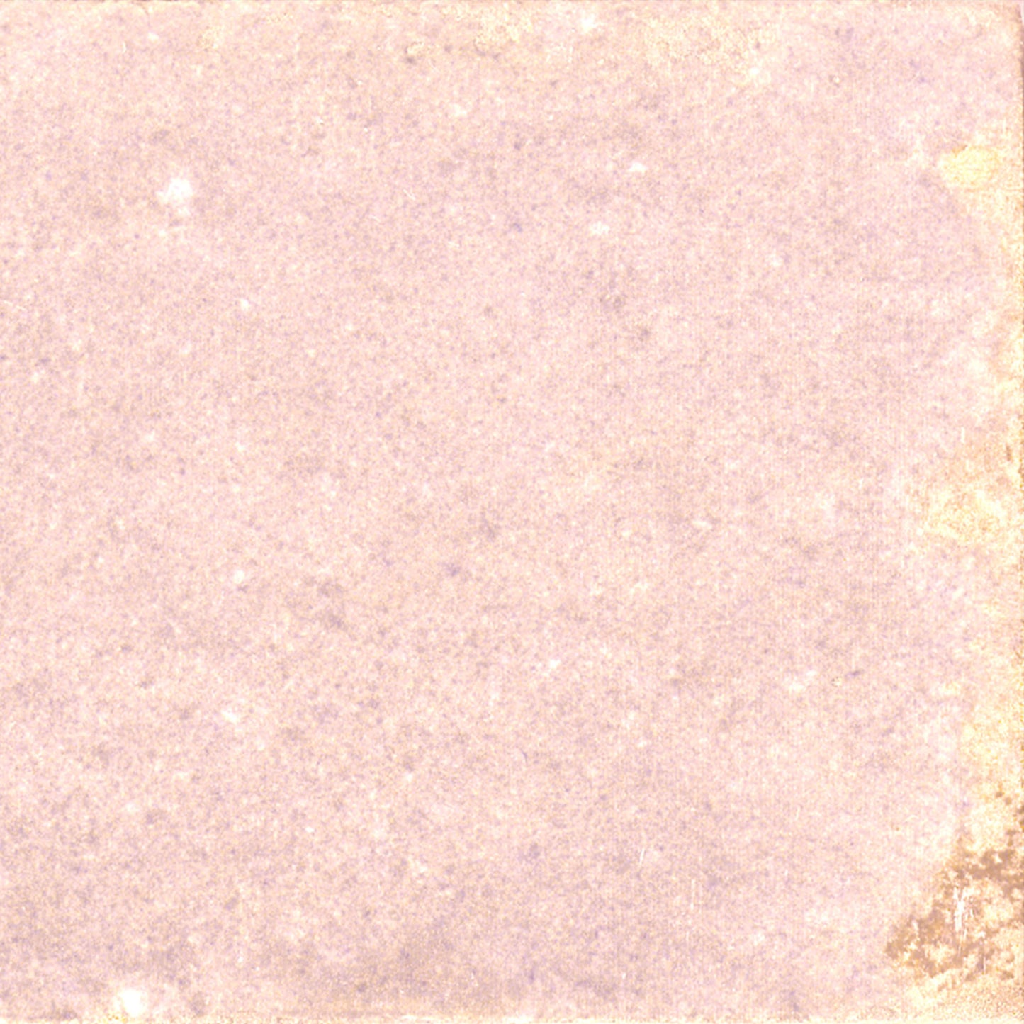 Rose - Aura 8mm Gloss Tile Sample (P11068)
