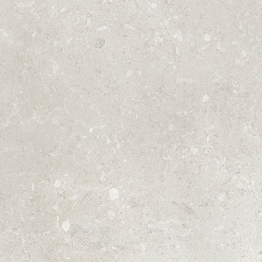 Belmont - 9.5mm Matt Tile Sample (P12883)