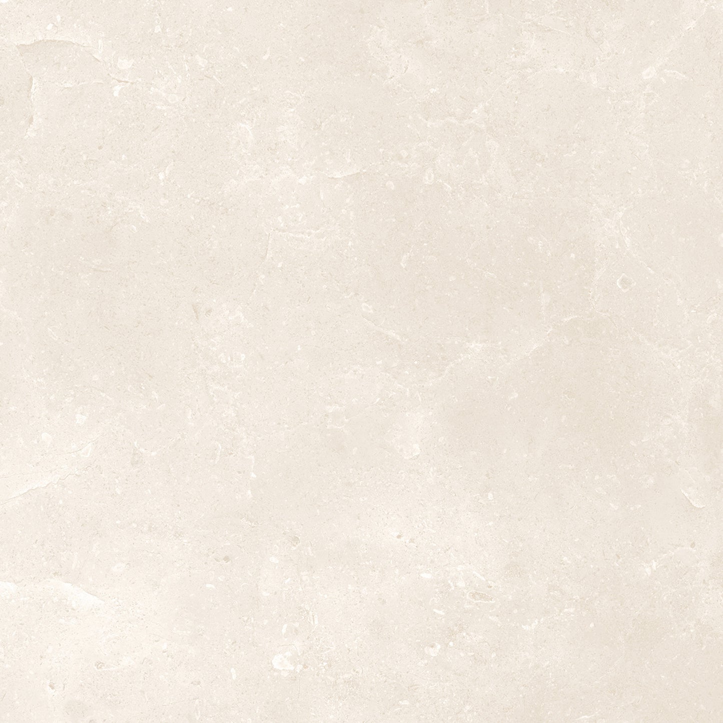 Belmont Matt - Smooth Porcelain Wall & Floor Tile Sample