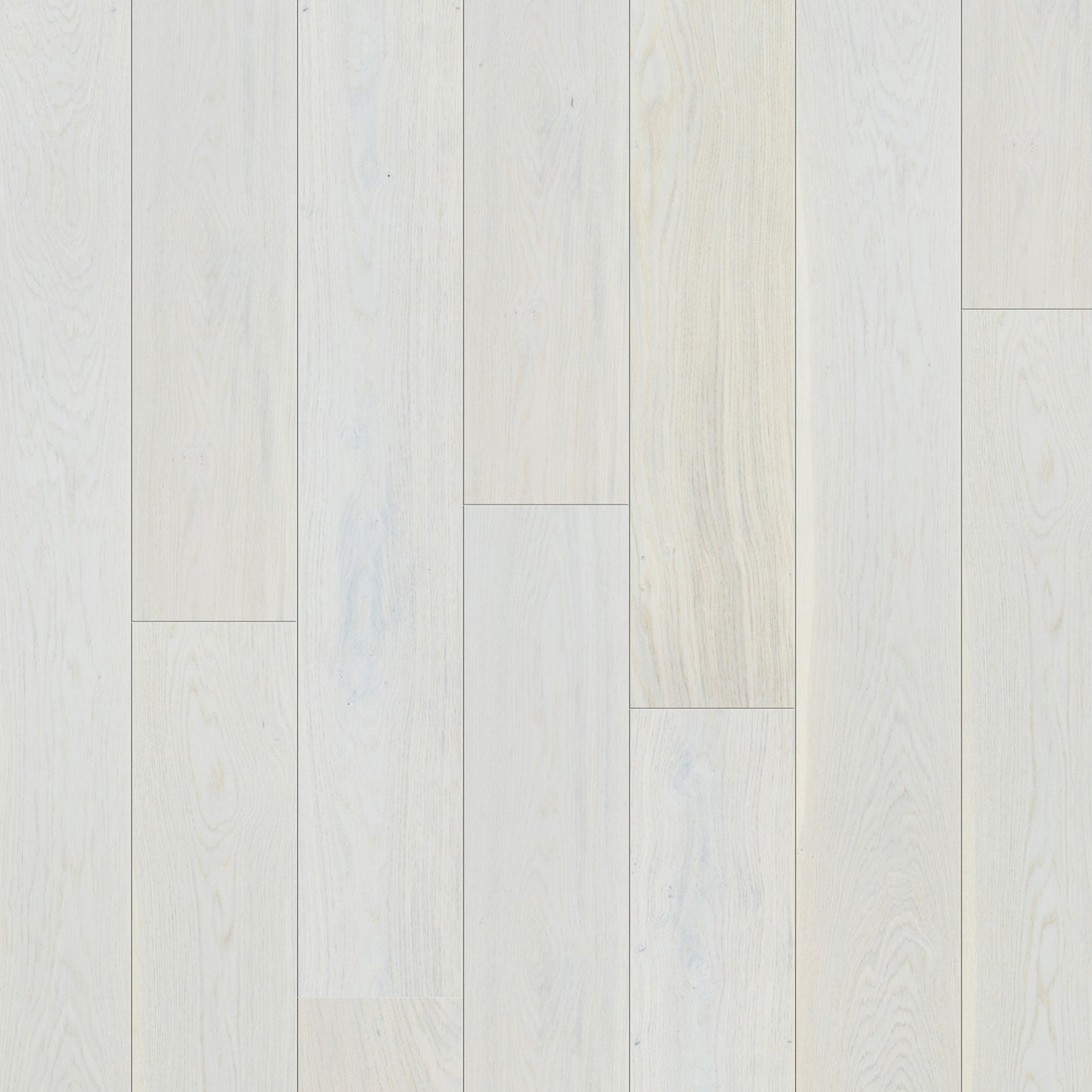 Ivory Oak - 14mm UV Lacquered Engineered Real Wood Flooring