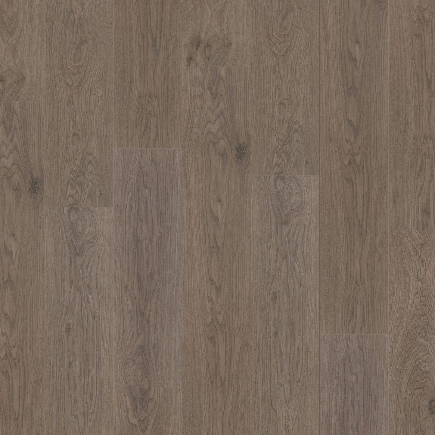 Magnolia Oak - 8mm Water Resistant Laminate Flooring (62002267)