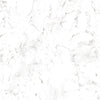 Wetwall Alloy Roman Marble 2440x1200mm Shower Panel
