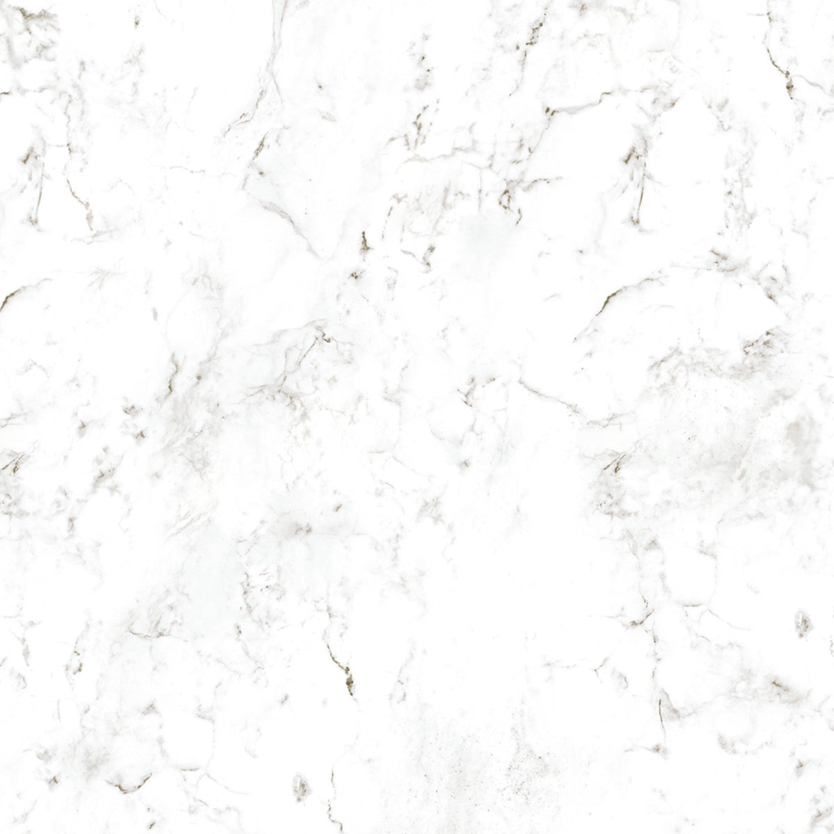Wetwall Alloy Roman Marble 2440x1200mm Shower Panel