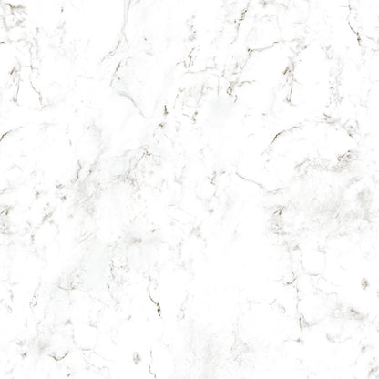 Wetwall Alloy Roman Marble 2440x1200mm Shower Panel